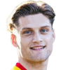 Martijn van de Werken