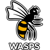 Wasps