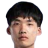 Xiaofan Xie