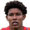 Fabian Villa