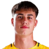 Theo Radelet