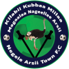 Negele Arsi Ketema