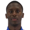 Salim Diaby