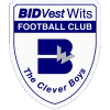 Bidvest Wits U21