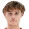 Pavels Nikitins