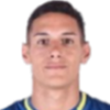 Joel Piccinini