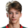 Nikita Afanasyev