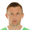 Ivica Olic