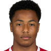 Dillon Hoogewerf