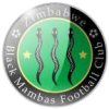 Black Mambas