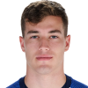 Luka Sucic