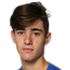 Gustavo Heide