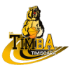 Timba Timisoara